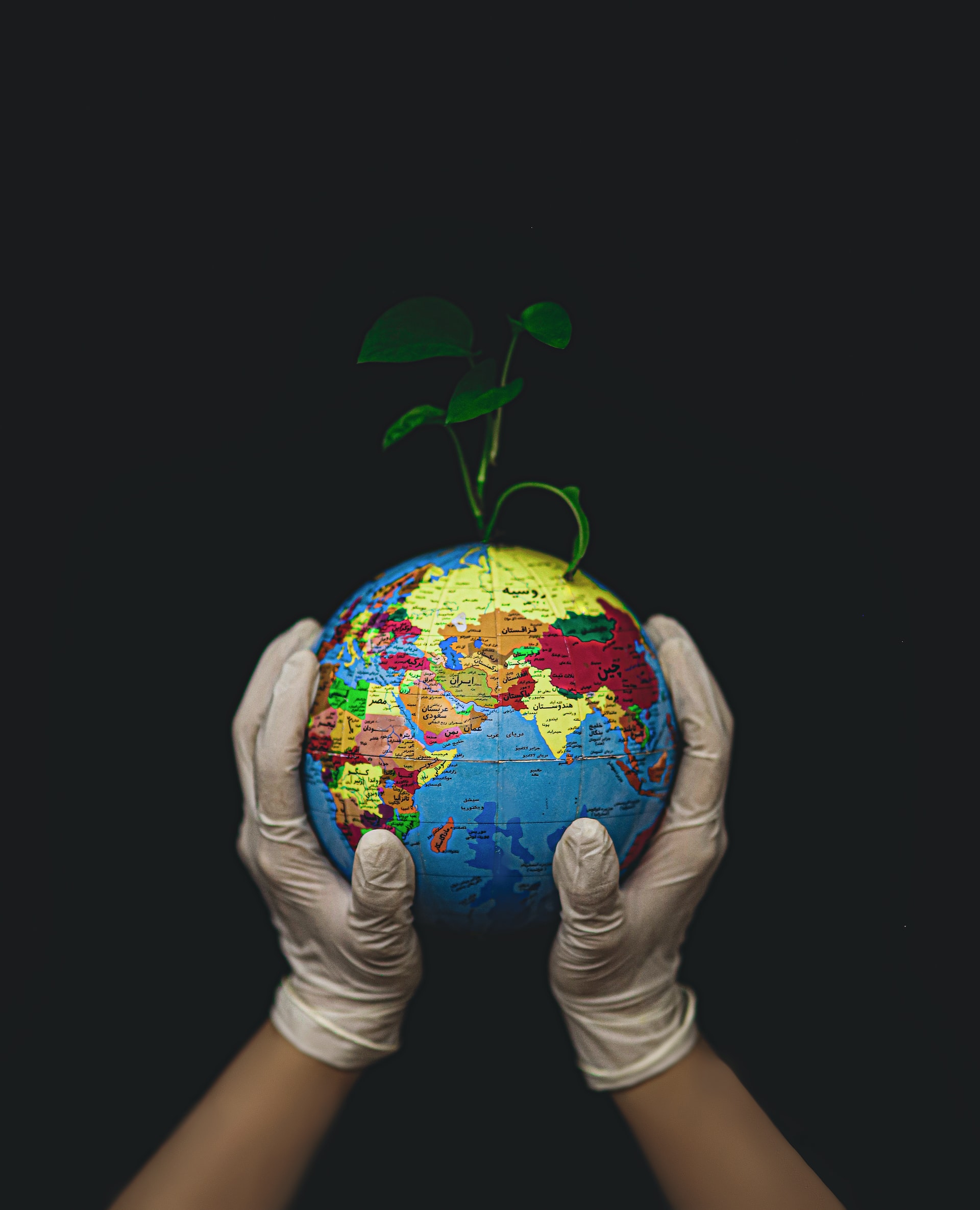 Earth Day Earth Day