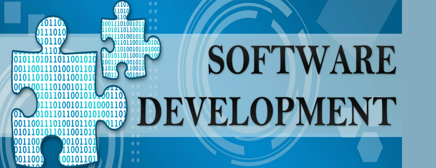 Enhance Your Business with Custom Software Development