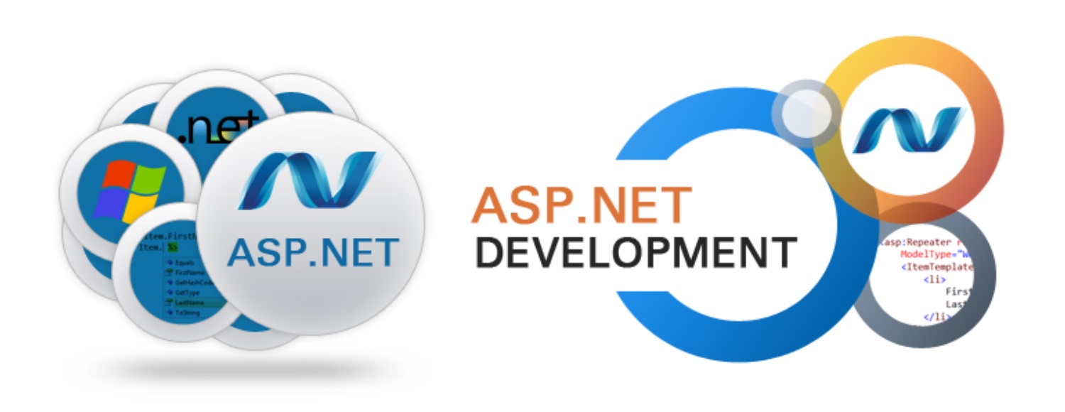 Why Custom Software Development with ASP.NET is More Rewarding