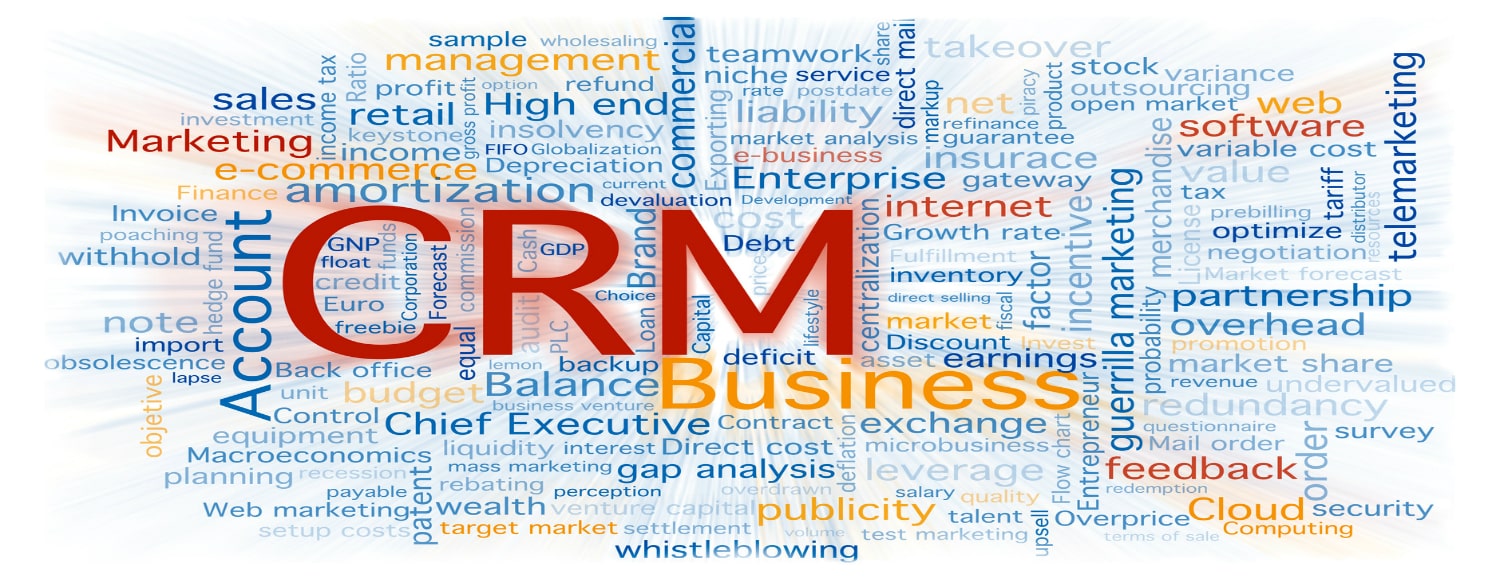 Custom CRM Solutions - Concept Infoway