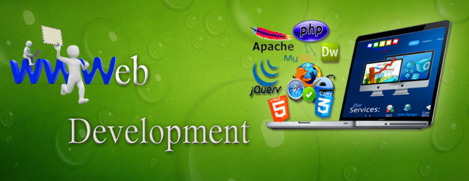 Quality Web Development Services in India