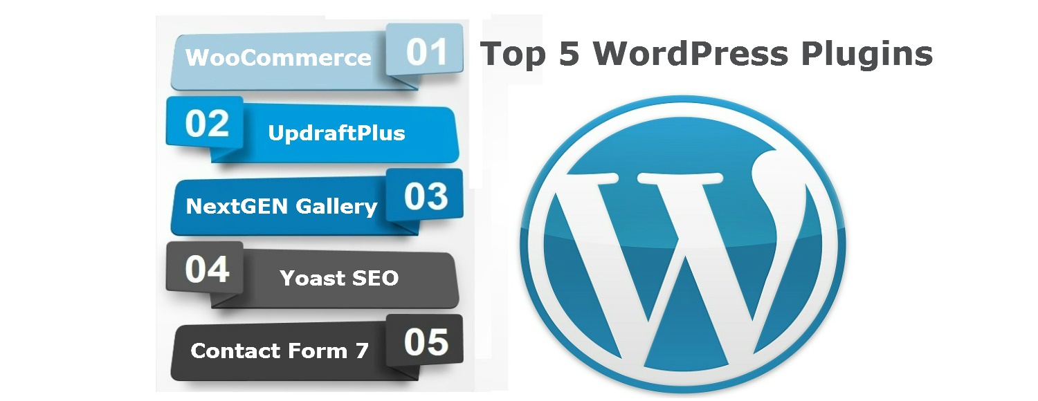 Top 5 WordPress Plugins - Concept Infoway