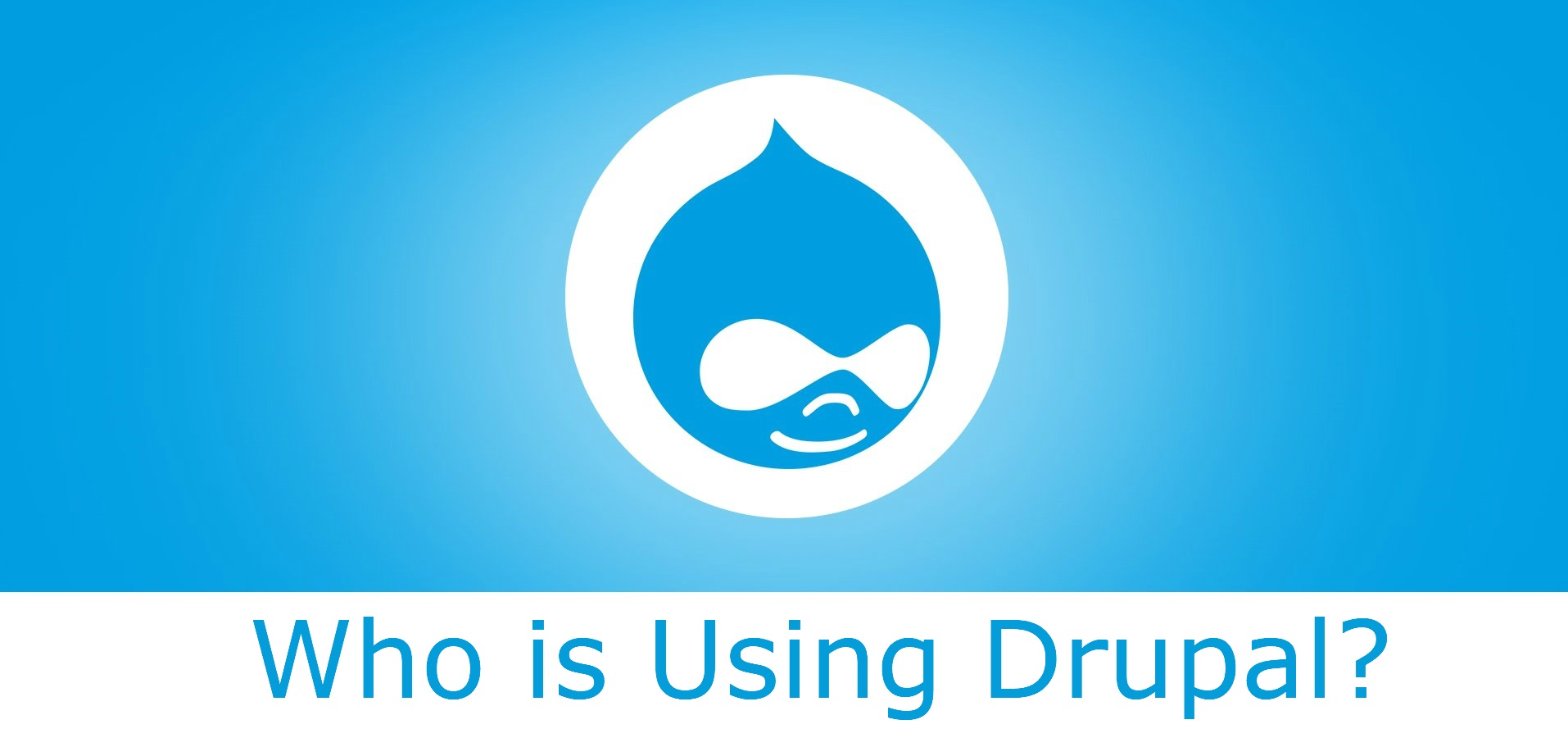 Who is Using Drupal?