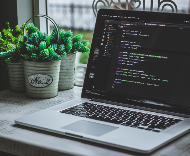 Professional Craft CMS Development Company - Concept Infoway