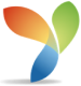 Leading YII Development Company - Concept Infoway