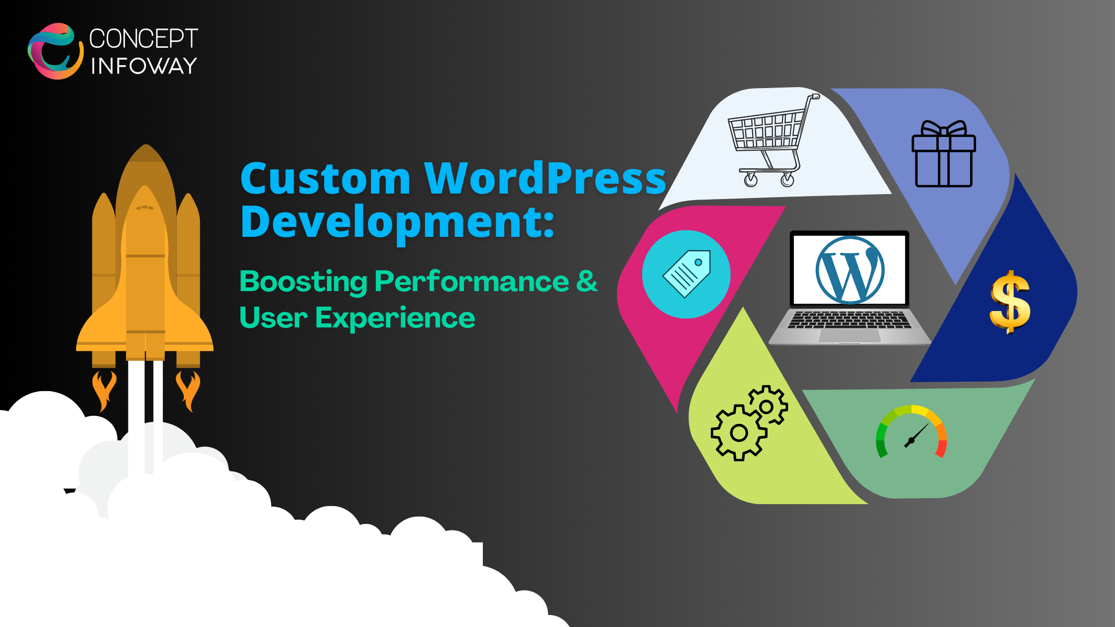 custom WordPress development