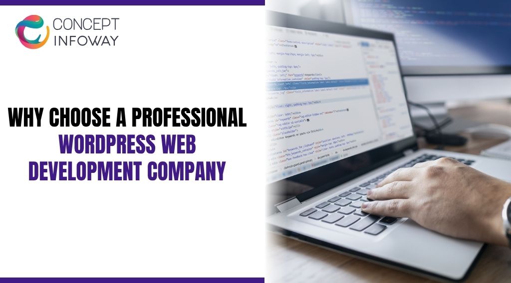 Why Choose a Professional WordPress Web Development Company Why Choose a Professional WordPress Web Development Company